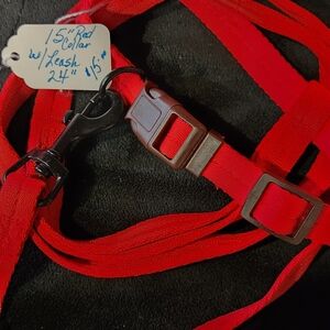 Red Dog Collar with Leash
